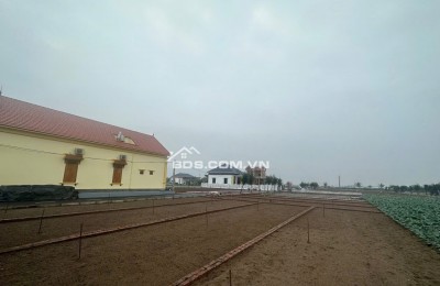 LÔ ĐẤT SIÊU ĐẸP GIÁP BIỂN QUẤT LÂM- CƠ HỘI ĐẦU TƯ SINH LỜI CAO