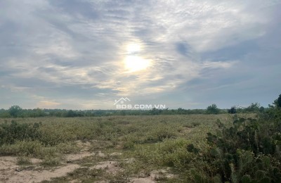 Kẹt tiền bán 6640m2 giá 3,2 tỷ, sổ đỏ, gần khu du lịch Mũi Dinh, Ninh Phước, Ninh Thuận