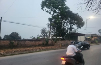 Chính chủ bán 1154m2  đất đầu tư, đường Lạc Hồng, Thì trấn Lâm Thao, Phú Thọ
