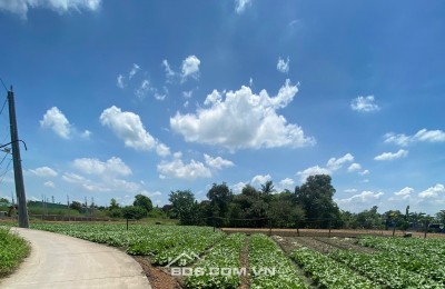 Bán 1000m2 thổ vườn Lộc Trung giá 3,5 tỷ thương lượng nhẹ