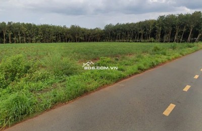 đất nền tân hoà bình phước, lh em 0929.285.375. Giá sở hữu 200
