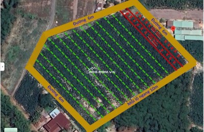 Bán trang trại khu nghỉ dưỡng tại Cầu Khởi, Dương Minh Châu, Tây Ninh Diện tích 1000m2 – giá 800 triệu vnd
