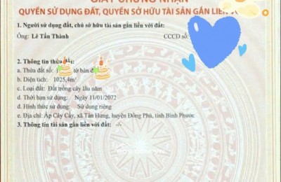 tân hưng đồng phú cũ 0929.285.375