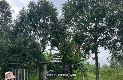 Cần Bán Nhanh Lô Đất Cạnh KCNC Bình Dương  diện tích 5x30 Gía 1ty580