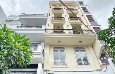 Bán căn hộ dịch vụ vừa hoàn thành đường 79 tân quy quận 7