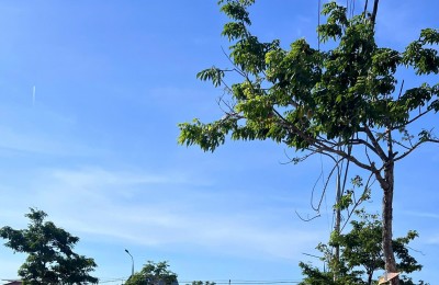 Cần Bán Đất Nền Dự Án Hội An, Trên Trục Đường Trần Thủ Độ, Diện Tích 126 giá chỉ 16tr/m2