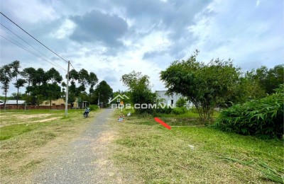 Sở Hữu Đất Lớn Gần KCN – Chờ Hạ Tầng, Giá Trị Tăng Theo Ngày