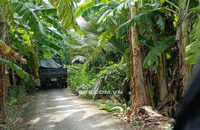 Bán đất mặt tiền đường DAL 2.5M - Bên hông bờ Kênh