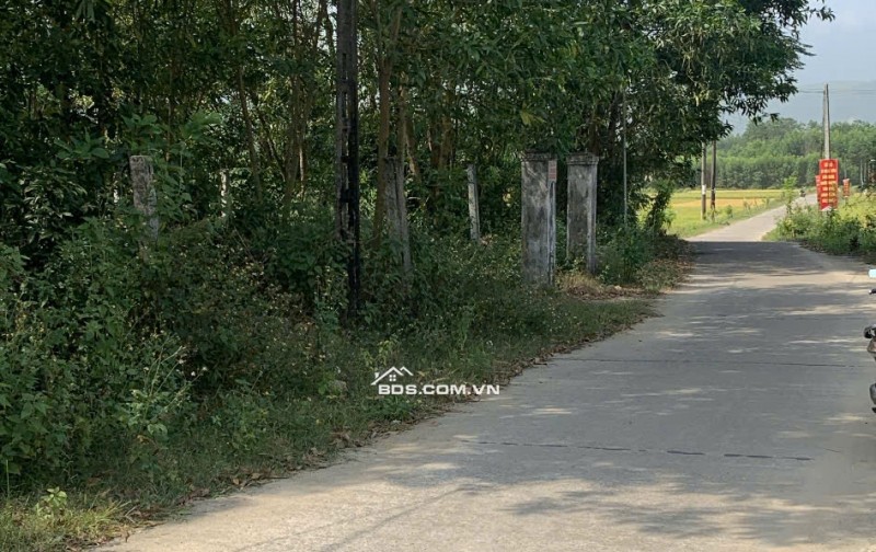 Chính Chủ Bán 1167,3m2 Đất Tại Xã Nghĩa Thuận, Huyện Tư Nghĩa, Quảng Ngãi.