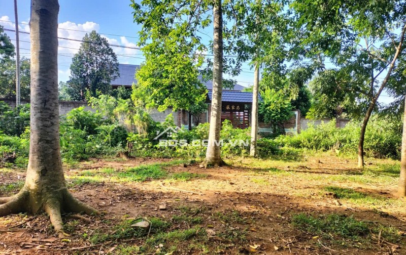 Cần bán gấp 2965m thổ cư siêu đẹp, xanh mát tại Bãi Chạo Kim Bôi Hòa Bình giá chỉ nhỉnh 1tr/m2