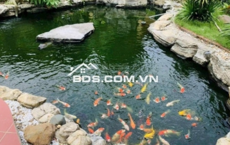  Đất Phan Thị giá trị đầu tư biên độ vô hạn, chốn bồng lai tiên cảnh nghỉ dưỡng cuối tuần !