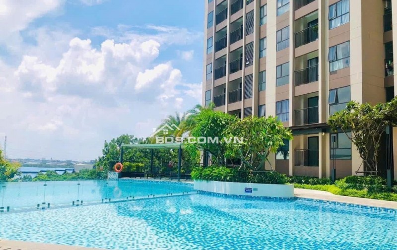Chính chủ cho thuê căn hộ cao cấp Opal Skyline – 2PN 2WC