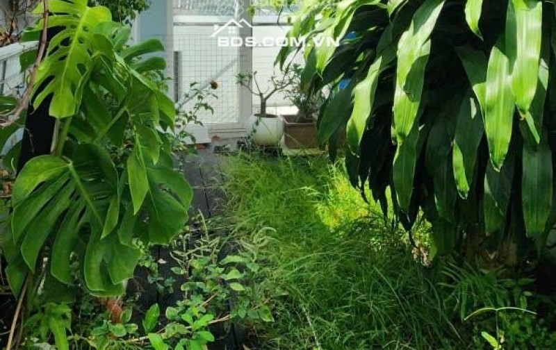 Chính chủ bán nhà thiết kế cực đẹp tại đường Tô Hiến Thành, Phường 15, Quận 10, Hồ Chí Minh