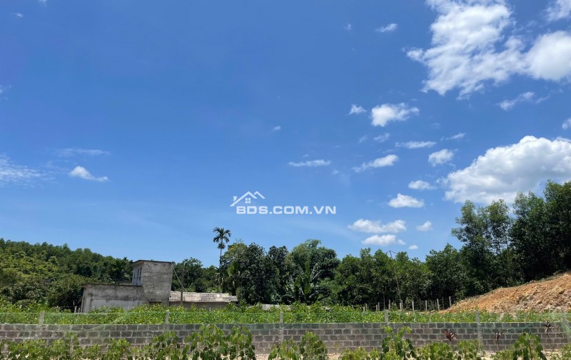hot hot hàng hiếm 2000m view trực diện Sungroup kim bôi giá rẻ chỉ 1,x triệu chính chủ cần bán gấp