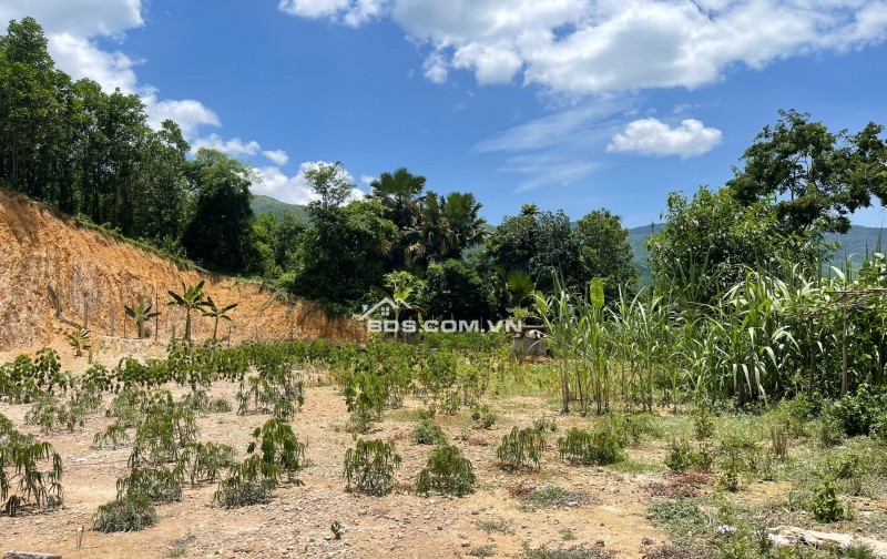 hot hot hàng hiếm 2000m view trực diện Sungroup kim bôi giá rẻ chỉ 1,x triệu chính chủ cần bán gấp