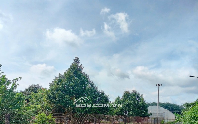Ôg Anh Đang Kẹt Tiền Nhờ Bán Lô Đất 200m2 Phía Sau Chợ, Có Sổ Sẵn