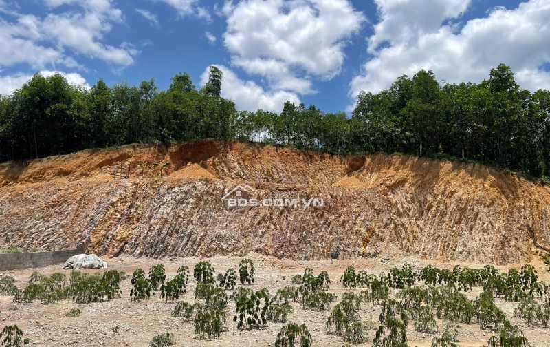 hot hot hàng hiếm 2000m view trực diện Sungroup kim bôi giá rẻ chỉ 1,x triệu chính chủ cần bán gấp