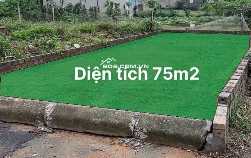 75m2 trục chính Cánh Chủ - Hạ Bằng (Bình Yên - Thạch Thất cũ), chỉ nhỉnh 2 tỷ, lh 0946377868 Hoàng Thương land