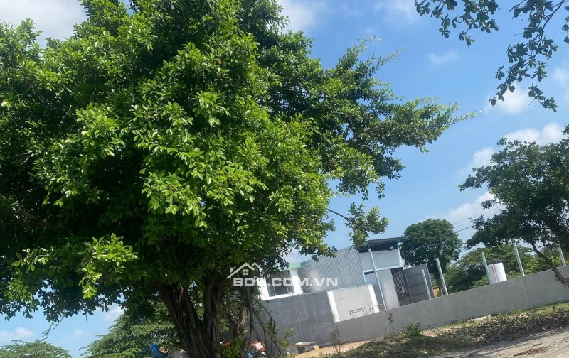 CHÍNH CHỦ BÁN GẤP LÔ ĐẤT 146.8m² - MT TRẦN HẢI PHỤNG, BÌNH TÂN - CHỈ 4.2 TỶ, GIÁ RẺ