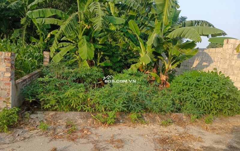 63,6m2 thôn Kim Bông - Hạ Bằng (Tân Xã - Thạch Thất cũ). Chỉ nhỉnh 2 tỷ. LH 0946377868 Hoàng Thương land