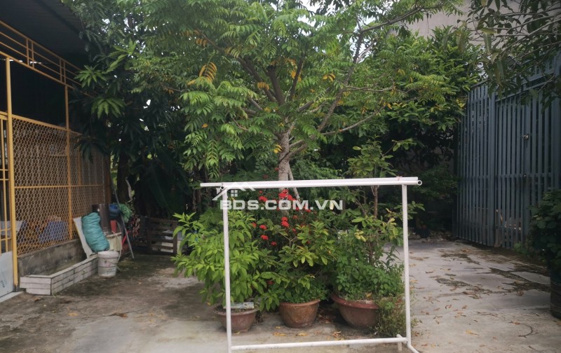 Bán cấp 4, Diện tích 81m2, giá ưu đãi 900 triệu tại Đường Số 1, Phường 5, Bạc Liêu