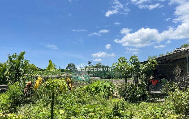hot hot hàng hiếm 2000m view trực diện Sungroup kim bôi giá rẻ chỉ 1,x triệu chính chủ cần bán gấp