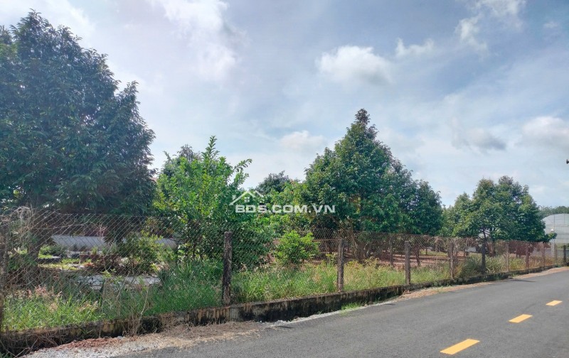 Ôg Anh Đang Kẹt Tiền Nhờ Bán Lô Đất 200m2 Phía Sau Chợ, Có Sổ Sẵn