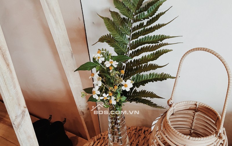 Căn hộ Studio Tầng trệt  Hoàng Hoa Thám P10 Đà Lạt  Cho thuê ngắn/dài hạn