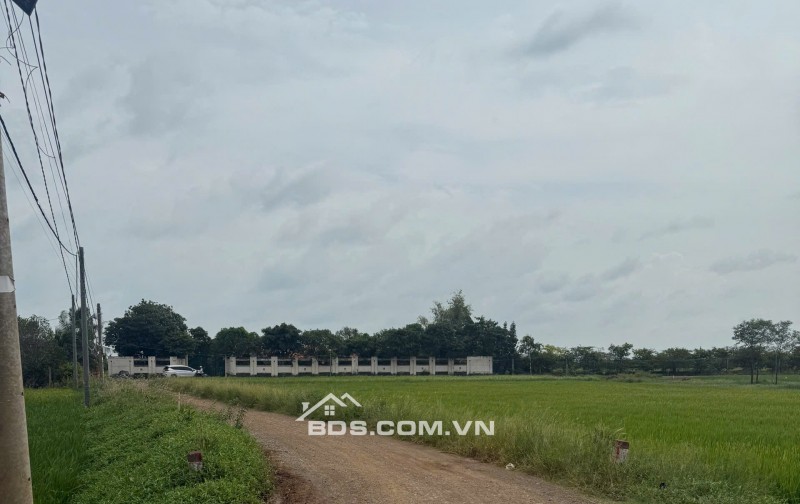 Bán gấp lô đất đẹp Long An