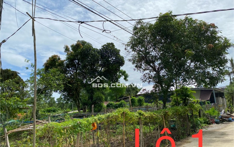 BÁN ĐẤT VEN HUẾ DIỆN TÍCH LỚN - 1134M2 - GẦN CẦU TUẦN
