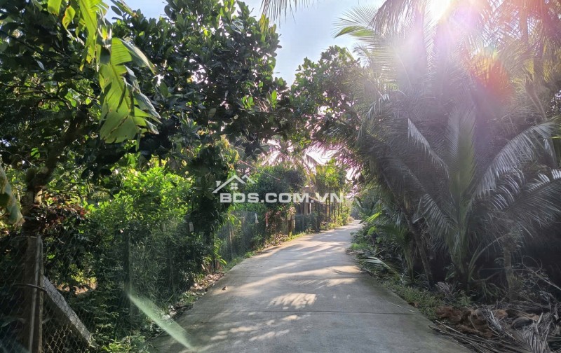 Chính Chủ Lô Đất Nền 2 Mặt Tiền Gần Ngã 3 và Ngã Tư Long Khánh, Phường Cai Lậy, Tiền Giang