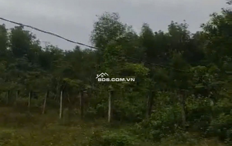 Chính Chủ Bán 1167,3m2 Đất Tại Xã Nghĩa Thuận, Huyện Tư Nghĩa, Quảng Ngãi.