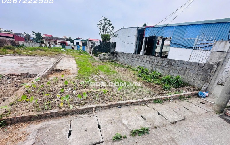 Chính chủ bán đất tuyến 2 tỉnh lộ 403, thôn Ngũ Đoan, huyện Kiến Thụy, Hải Phòng.