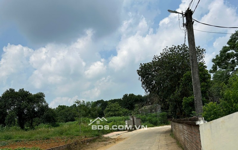 HÀNG MỚI TINH - GIÁ RẺ HƠN THỊ TRƯỜNG 5 GIÁ