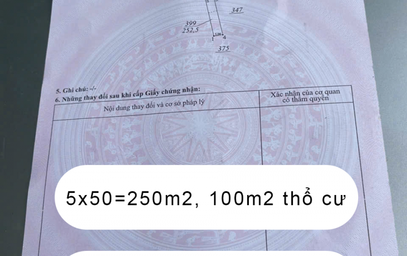 Cơ Hội Sở Hữu Đất Vị Trí Đắc Địa - Lô Đất 250m2, 3 Triệu/m2 -Tiềm Năng Tại An Long, TP.HCM