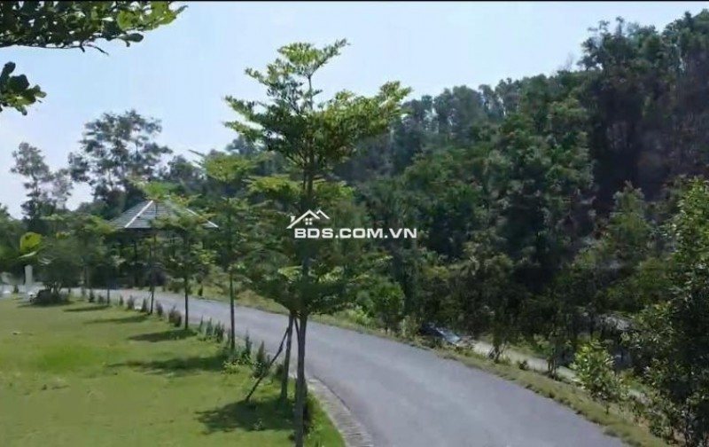  Đất Phan Thị giá trị đầu tư biên độ vô hạn, chốn bồng lai tiên cảnh nghỉ dưỡng cuối tuần !