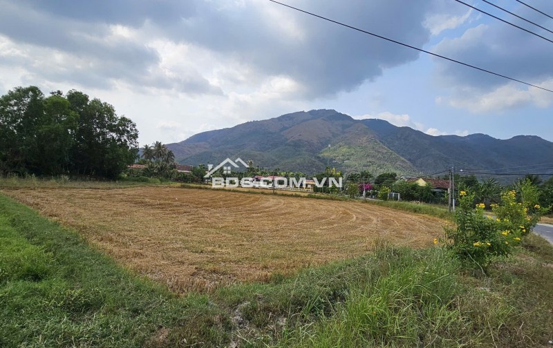 Bán Đất Vàng 2235m² Tại Diên Khánh, Khánh Hòa, ĐL Võ Nguyên Giáp 20m