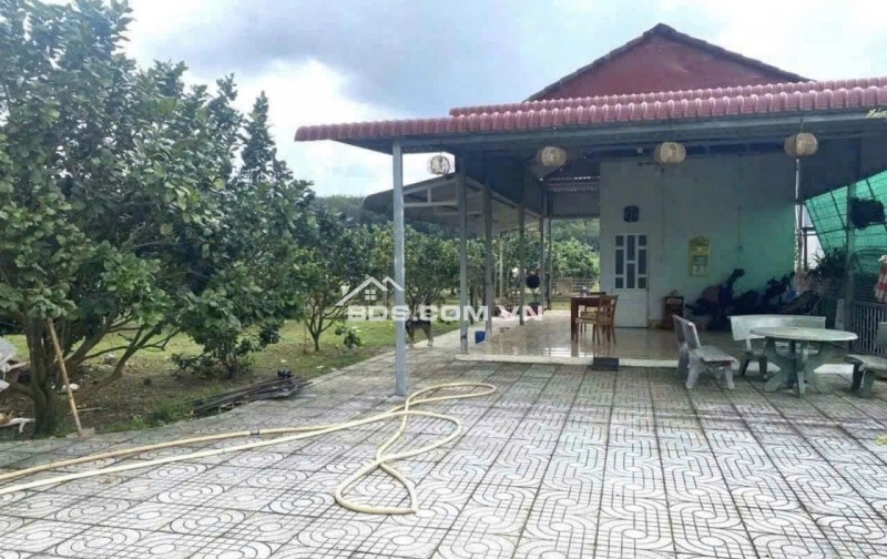 Cực phẩm nhà vườn ngay QL13 - Chơn Thành, liền kề KCN MH Hàn Quốc