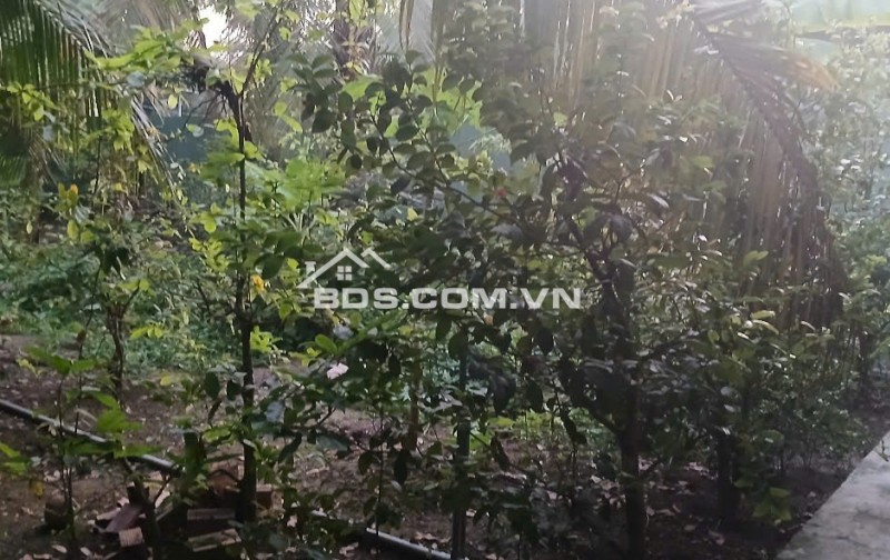 Bán 1000m2 có 180m2 thổ cư đất đường dẫn Cầu Rạch Miễu 2 Tiền Giang.