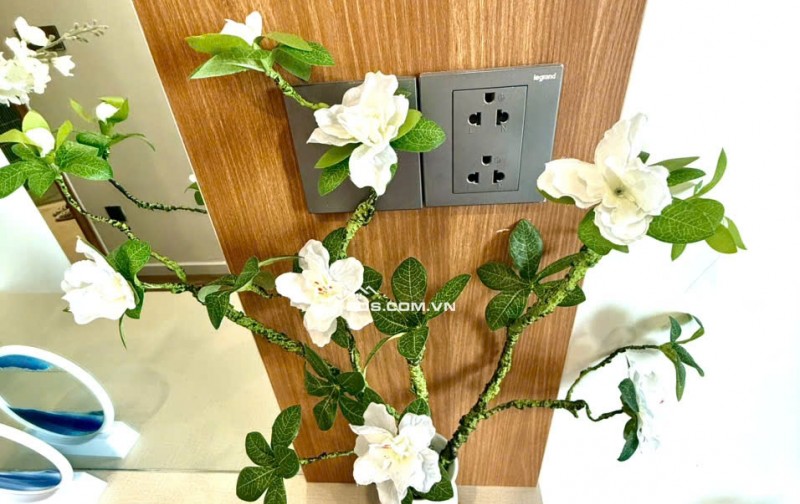 Bán căn hộ Codotel Flamingo Hải Tiến Thanh Hóa