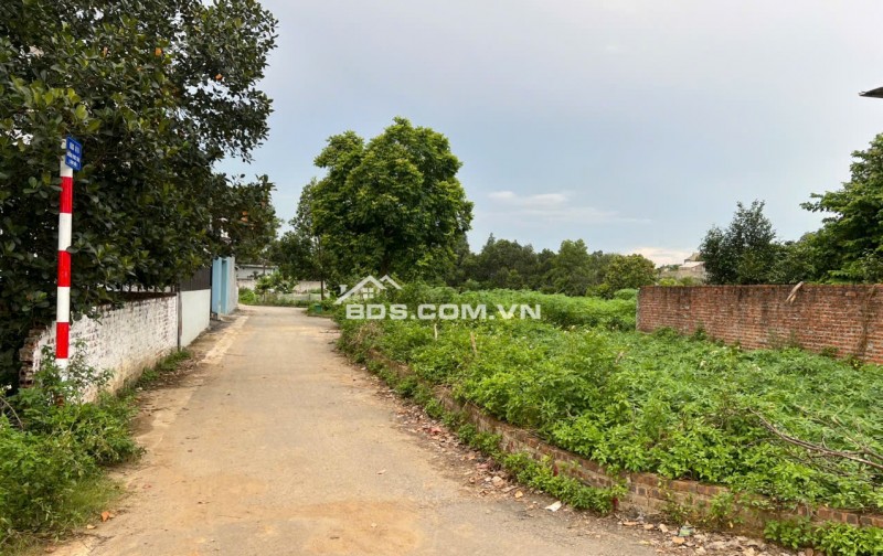 Lô góc 128,8m2 full thổ cư, Phúc Tiến - Hạ Bằng (Bình Yên - Thạch Thất cũ) - Hà Nội. Chỉ nhỉnh 3 tỷ. LH 0946377868 Hoàng Thương land