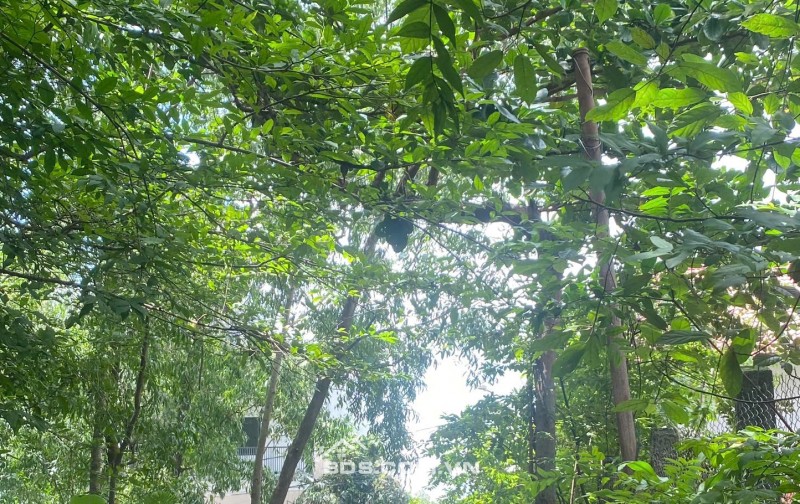BÁN NHÀ GIÁ TỐT – ĐẦU TƯ SINH LỜI CAO – SÁT VINHOMES GRAND PARK Q9 - 5P  Ra Nguyễn Văn Tăng, 10p ra Lê Văn Việt