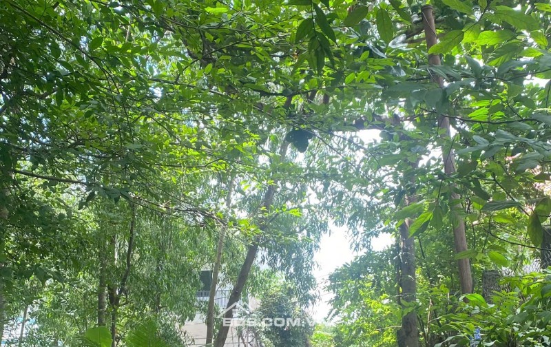 BÁN NHÀ GIÁ TỐT – ĐẦU TƯ SINH LỜI CAO – SÁT VINHOMES GRAND PARK Q9 - 5P  Ra Nguyễn Văn Tăng, 10p ra Lê Văn Việt