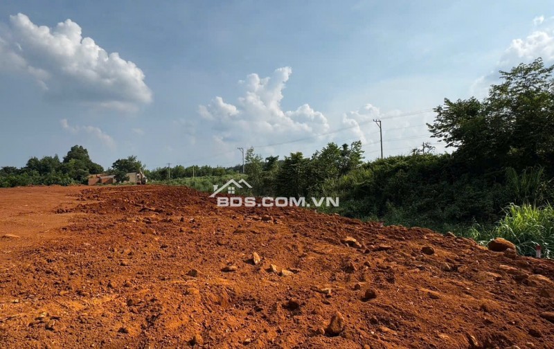 BÁN ĐẤT NỀN MẶT TIỀN ĐƯỜNG DT753 TÂN LỢI ĐỒNG PHÚ BÌNH PHƯỚC GIÁ CHỈ 450 TRIỆU