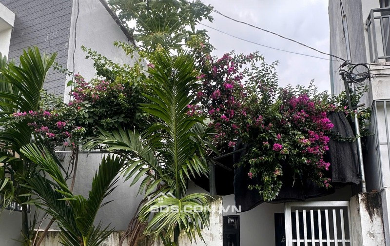 BÁN NHÀ HẺM  QUANG TRUNG PHƯỜNG TÂN TIẾN ( CŨ)  CÁCH TRUNG TÂM NGÃ 6 1KM
 GIÁ CHỈ 1TY499