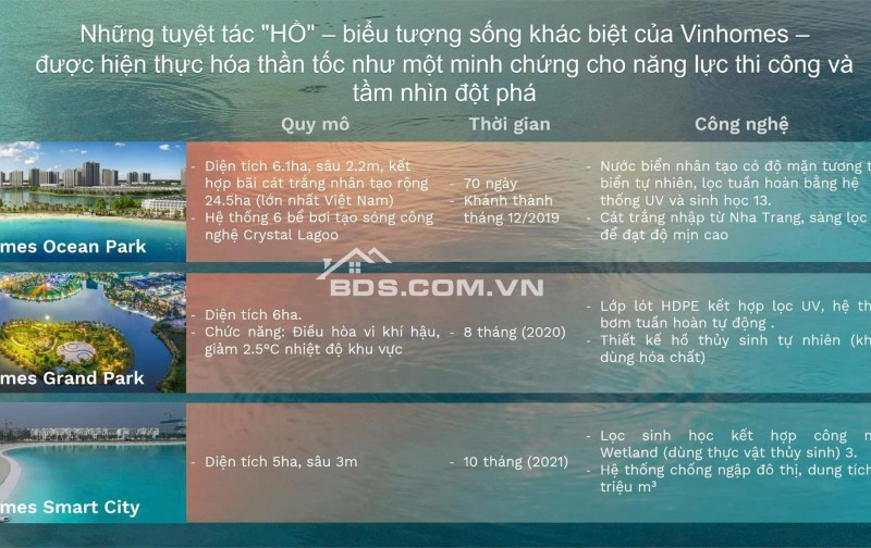  THE SWAN LAKE – ĐIỂM RƠI VÀNG CỦA DÒNG TIỀN