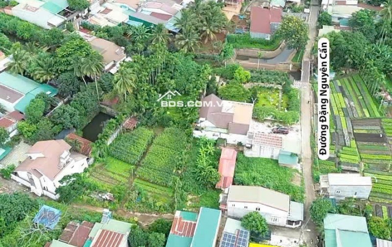 4 LÔ LIỀN KỀ MẶT TIÊN ĐƯỜNG ĐẶNG NGUYÊN CẨN
Cách đại lộ Võ Nguyên Giáp 300m GIÁ CHỈ 1TY480