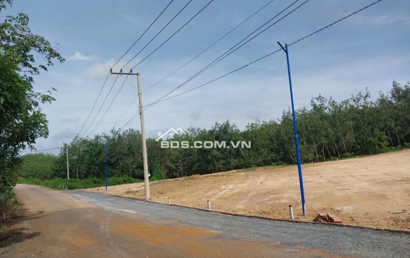 CHÍNH CHỦ THIẾU NỢ CẦN BÁN GẤP LÔ ĐẤT MẶT TIỀN NHỰA 16M, 500M2 GIÁ CHỈ 150TRIỆU