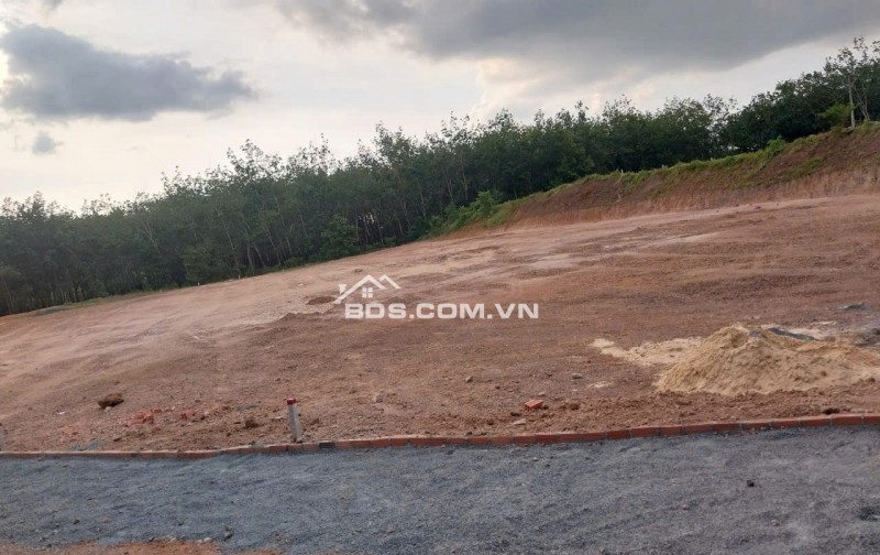 CHÍNH CHỦ THIẾU NỢ CẦN BÁN GẤP LÔ ĐẤT MẶT TIỀN NHỰA 16M, 500M2 GIÁ CHỈ 150TRIỆU
