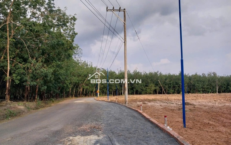CHÍNH CHỦ THIẾU NỢ CẦN BÁN GẤP LÔ ĐẤT MẶT TIỀN NHỰA 16M, 500M2 GIÁ CHỈ 150TRIỆU